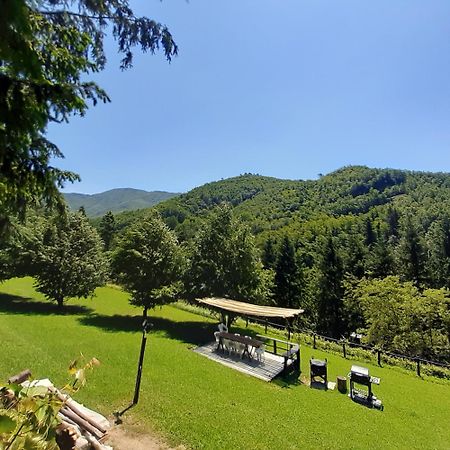 Il Bosco Di Campo Marzano Rooms & Apartments Borzonasca ภายนอก รูปภาพ