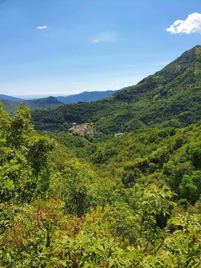 Il Bosco Di Campo Marzano Rooms & Apartments Borzonasca ภายนอก รูปภาพ
