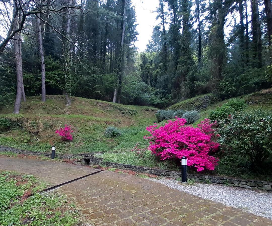 Il Bosco Di Campo Marzano Rooms & Apartments Borzonasca ภายนอก รูปภาพ
