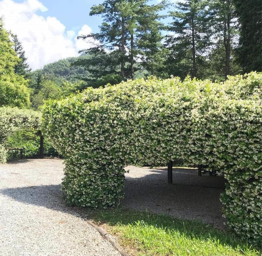 Il Bosco Di Campo Marzano Rooms & Apartments Borzonasca ภายนอก รูปภาพ