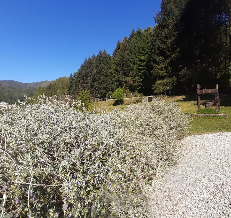 Il Bosco Di Campo Marzano Rooms & Apartments Borzonasca ภายนอก รูปภาพ