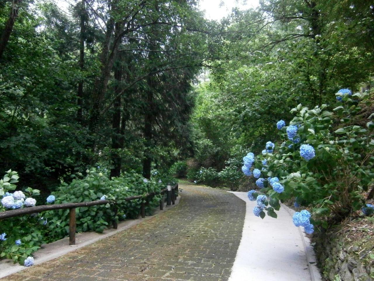Il Bosco Di Campo Marzano Rooms & Apartments Borzonasca ภายนอก รูปภาพ
