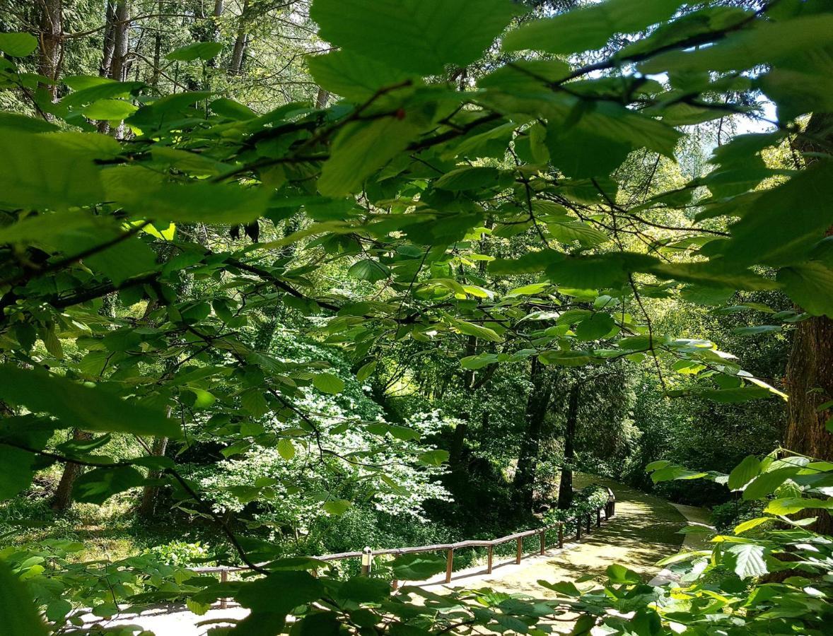 Il Bosco Di Campo Marzano Rooms & Apartments Borzonasca ภายนอก รูปภาพ