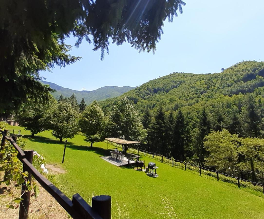 Il Bosco Di Campo Marzano Rooms & Apartments Borzonasca ภายนอก รูปภาพ